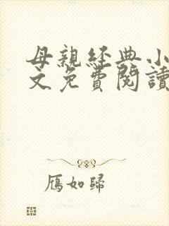 母亲经典小说全文免费阅读封面