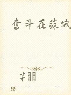 奋斗在苏俄