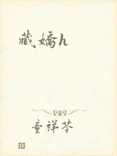 藏娇h