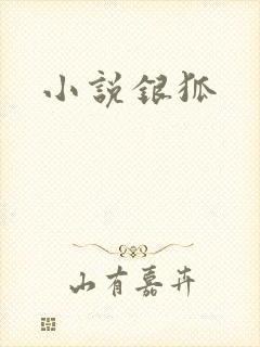 小说银狐