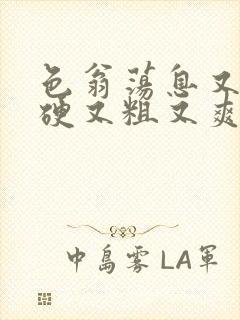 色翁荡息又大又硬又粗又爽小莹