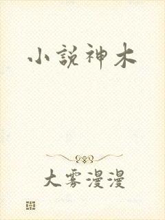 小说神木
