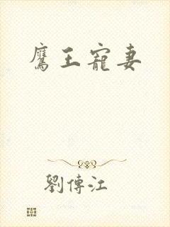 鹰王宠妻封面
