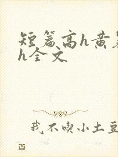 短篇高h黄暴辣h全文封面