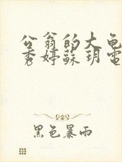 公翁的大龟挺进秀婷苏玥电影封面