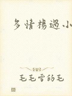 多情杨过小说