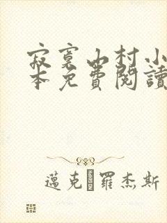 寂寞山村小说全本免费阅读