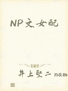 NP文女配