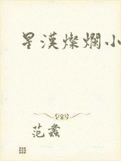 星汉灿烂小说