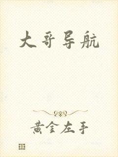 大哥导航