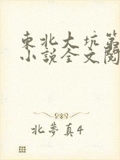 东北大坑第二部小说全文阅读封面