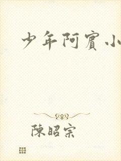 少年阿宾小说