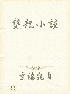 双龙小说