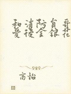 和消防员哥哥恋爱后金银花趣笔阁封面