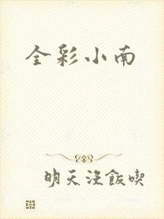 全彩小南封面