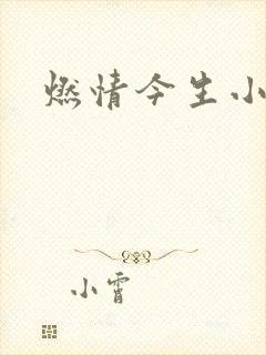 燃情今生小说