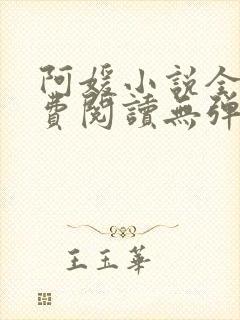 阿媛小说全文免费阅读无弹窗笔趣阁封面