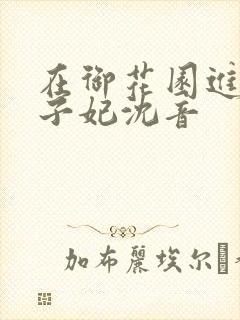 在御花园进入太子妃沈音