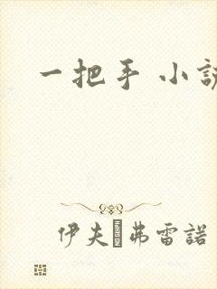一把手 小说