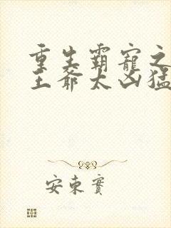 重生霸宠之摄政王爷太凶猛