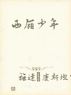 西厢少年