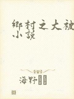 乡村之大被同眠小说封面