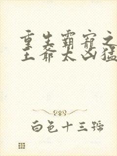 重生霸宠之摄政王爷太凶猛封面