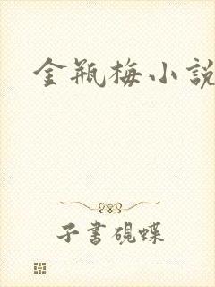 金瓶梅小说