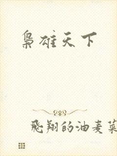 枭雄天下