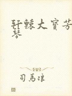 轩辕大宝芳菲雅琴封面