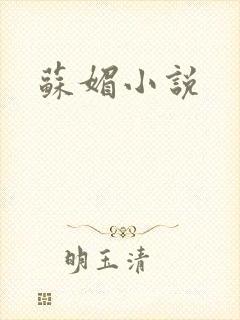 苏媚小说