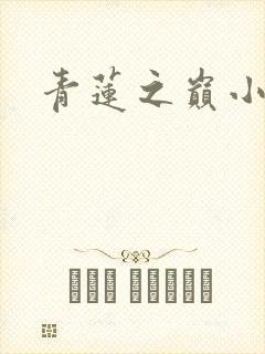青莲之巅小说封面