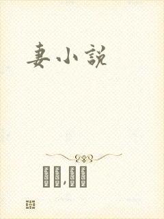 妻小说封面