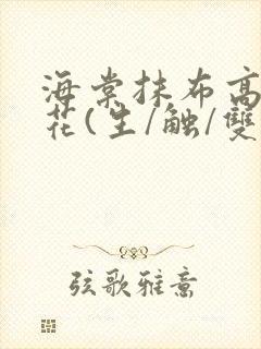 海棠抹布高岭之花(生/触/双)封面