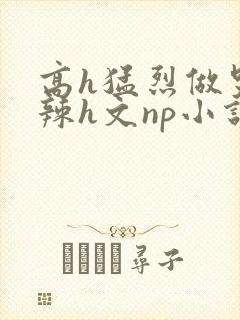 高h猛烈做哭高辣h文np小说封面