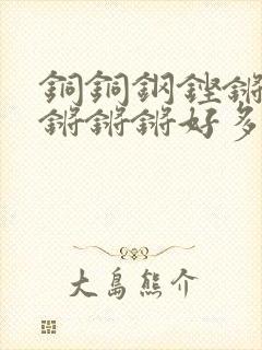 铜铜钢铿锵锵锵锵锵锵好多少阅读封面