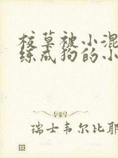 校草被小混混训练成狗的小说