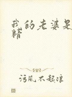 我的老婆是狐狸精封面