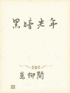 黑暗光年封面