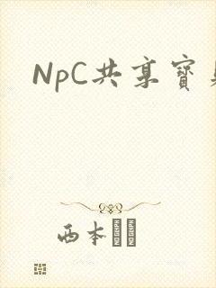 NpC共享宝贝