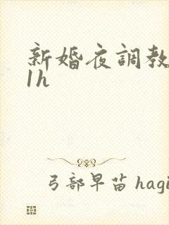 新婚夜调教1v1h