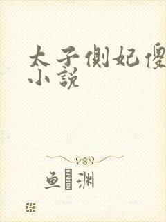 太子侧妃傻乎乎小说