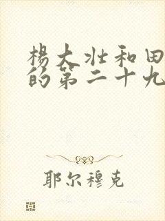 杨大壮和田桂花的第二十九