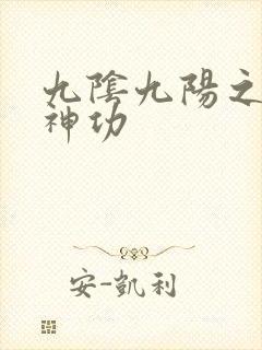 九阴九阳之阴阳神功封面