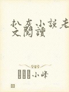 扒灰小说老马全文阅读