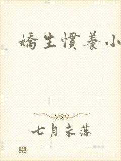 娇生惯养小说