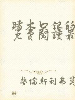 赌木口银的小说免费阅读最新