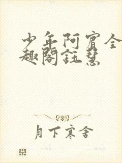 少年阿宾全文笔趣阁钰慧封面