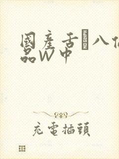 国产舌乚八伦偷品W中