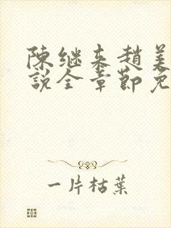 陈继来赵美媛小说全章节免费阅读封面